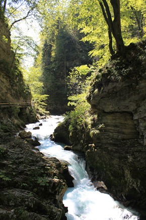 Vintgar Gorge
