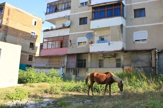 Children on the Streets of Albania Post image