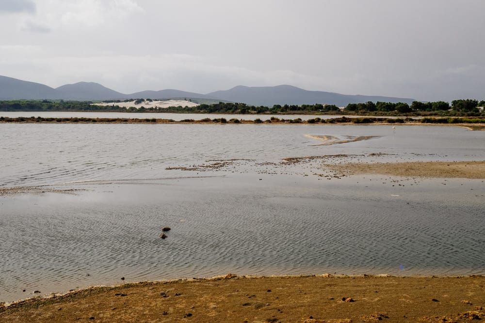 A Bleak Future for the Pacific Islands: The Impact of Climate Change Post image