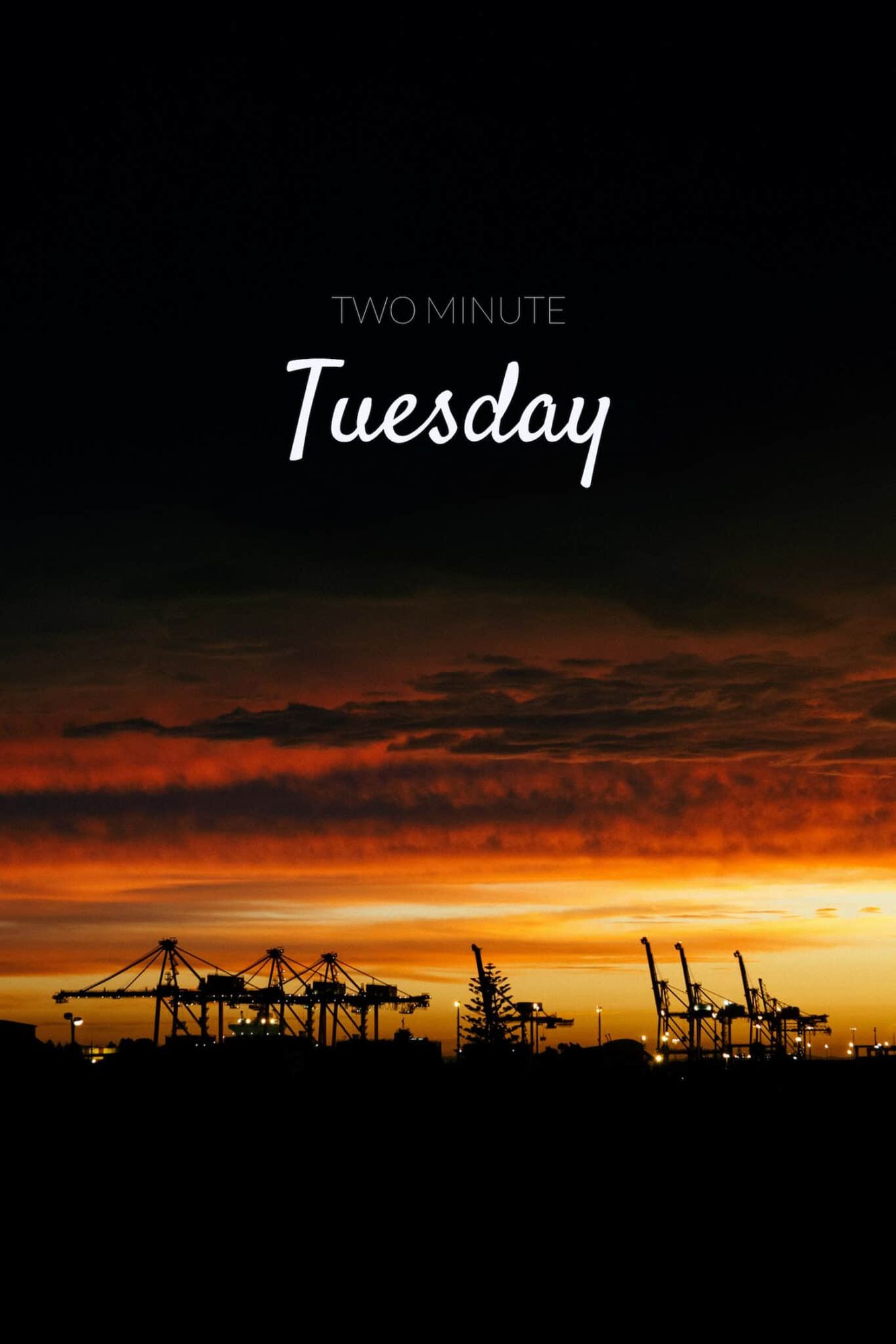 Two Minute Tuesday: Shark Sightings Post image