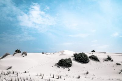 September Travel Plans: Sardinia Tag image