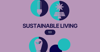 101 Simple Ways to Live Sustainably: Your Complete Guide to Green Living Post feature image