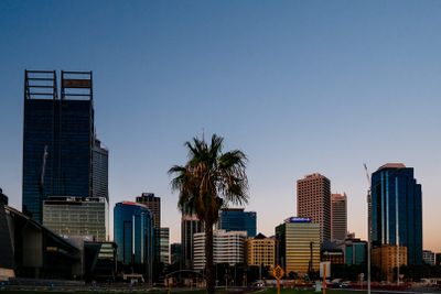 Biophilic Urbanism: This Type of Urban Greening Enhances Resilience Tag image