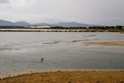 A Bleak Future for the Pacific Islands: The Impact of Climate Change Tag image