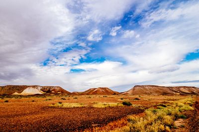 On Instagram: The Nullarbor and a Pink Lake Tag image