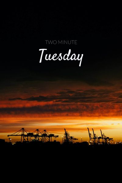 Two Minute Tuesday: Shark Sightings Tag image