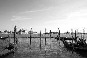 One Day in Venice Tag image