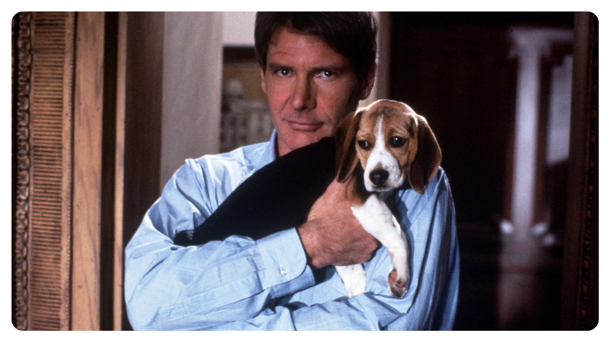 About Harrison Ford's (Arguably) Worst Movie