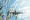 Ten Years On, IATA Calls for CORSIA to Be Reinforced as the EU Reviews Its Emissions Trading System