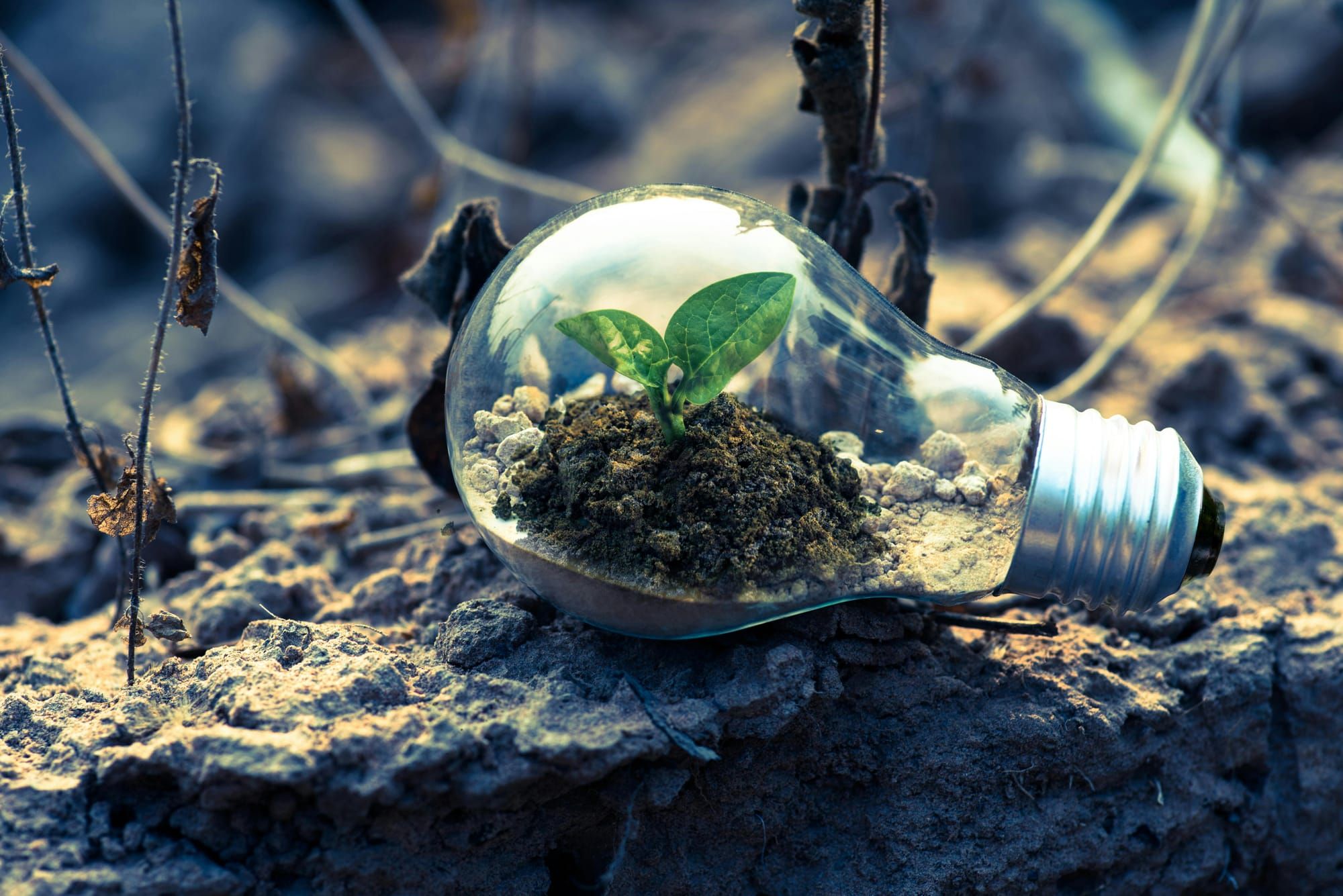 The Power of Idea Generation in Unlocking MSME Growth