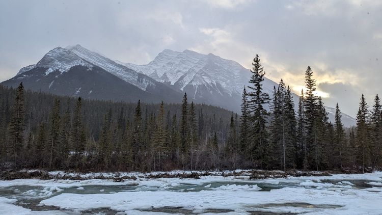 The thing behind the thing