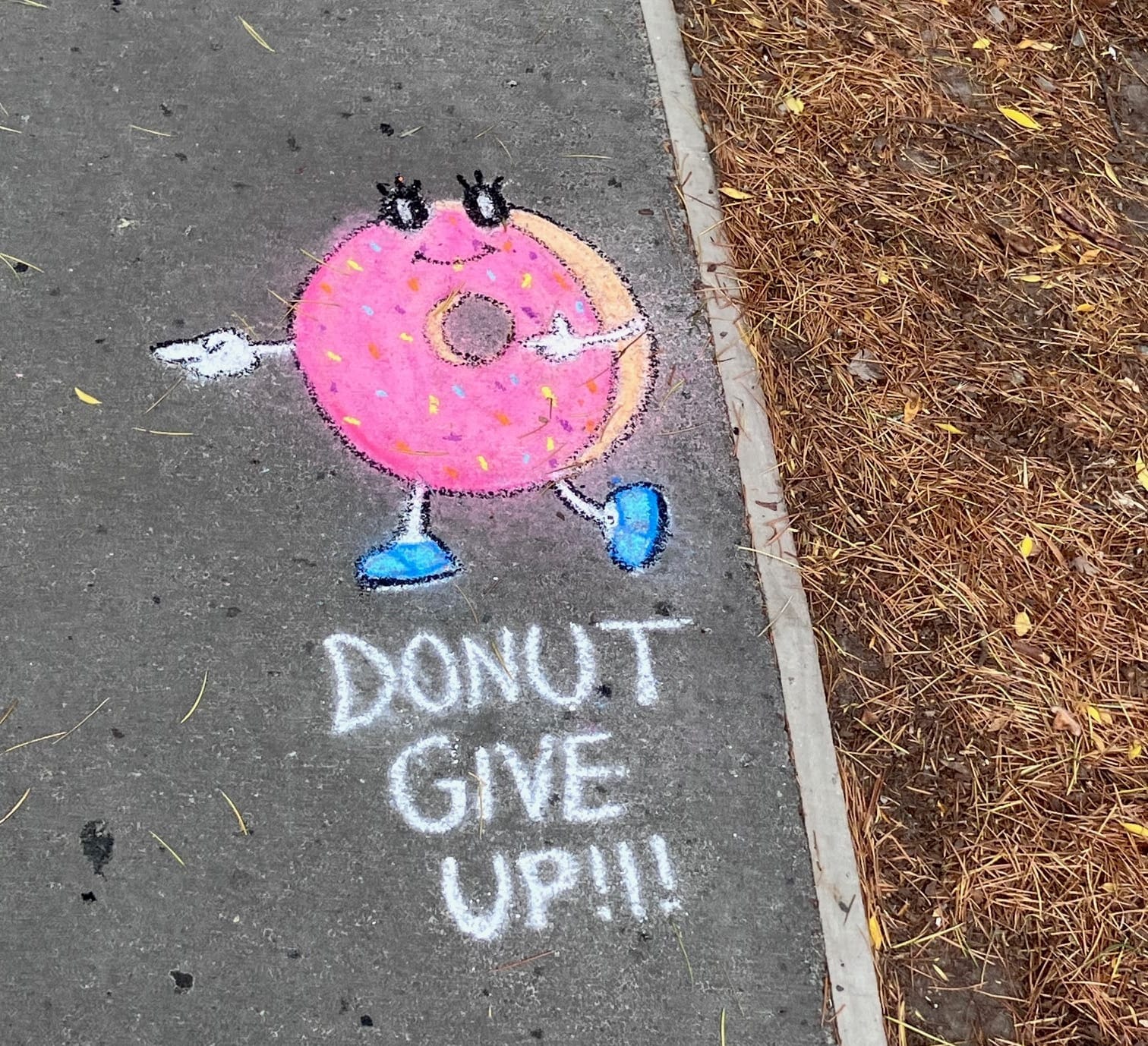 A chalk drawing, on the side of an asphalt path, depicting an anthropomorphised donut doing finger guns over the words DONUT GIVE UP!!!