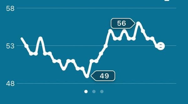 Screenshot of a Fitbit line graph