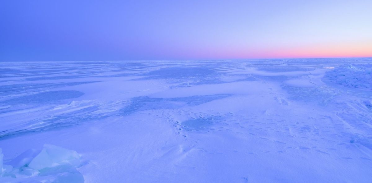 What is Bluejay's purpose?