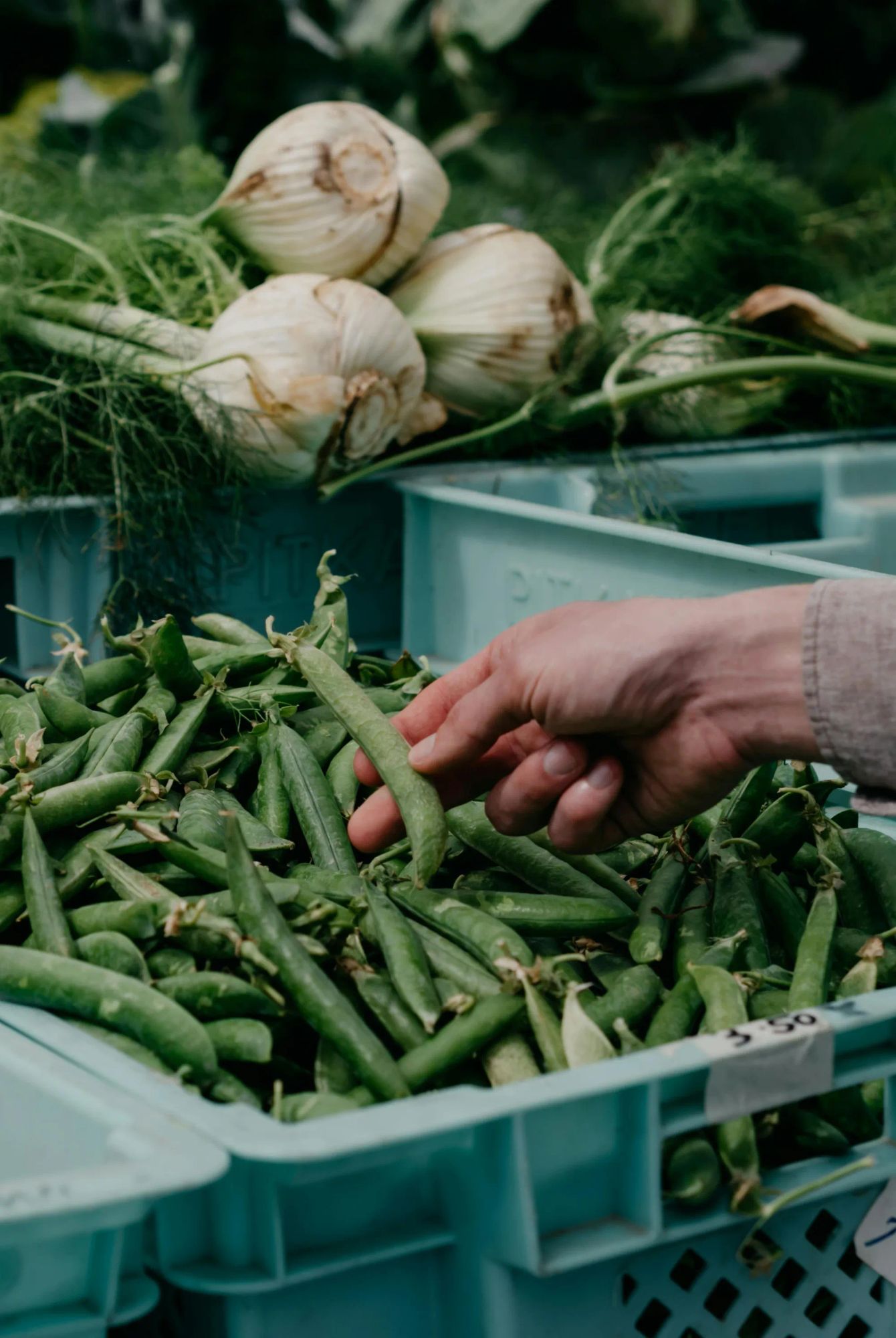 The Ultimate Guide to Cooking with Seasonal Produce