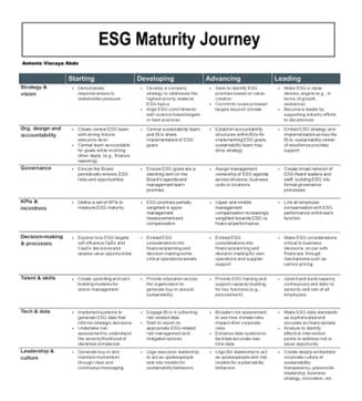 ESG Maturity Journey