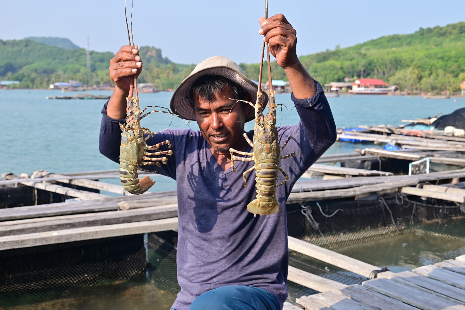 Environmental Stewardship