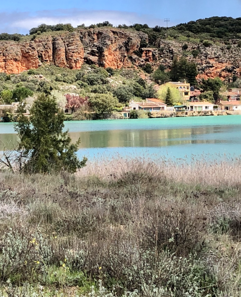 Travel 2 Care Newsletter