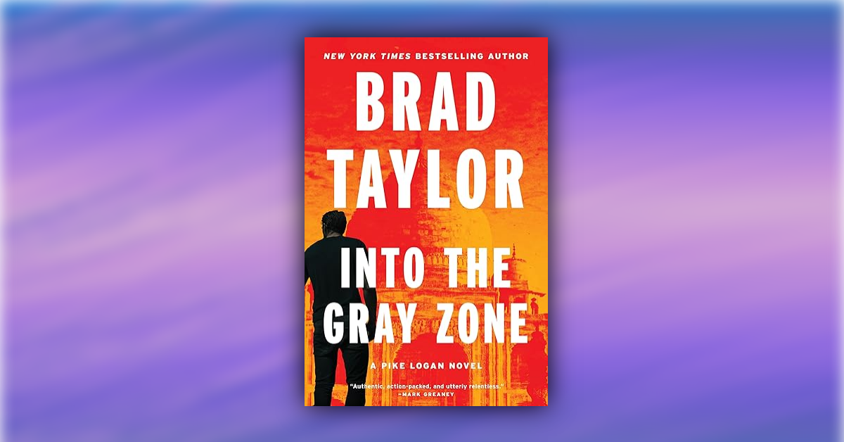 Into the Gray Zone - Book Review