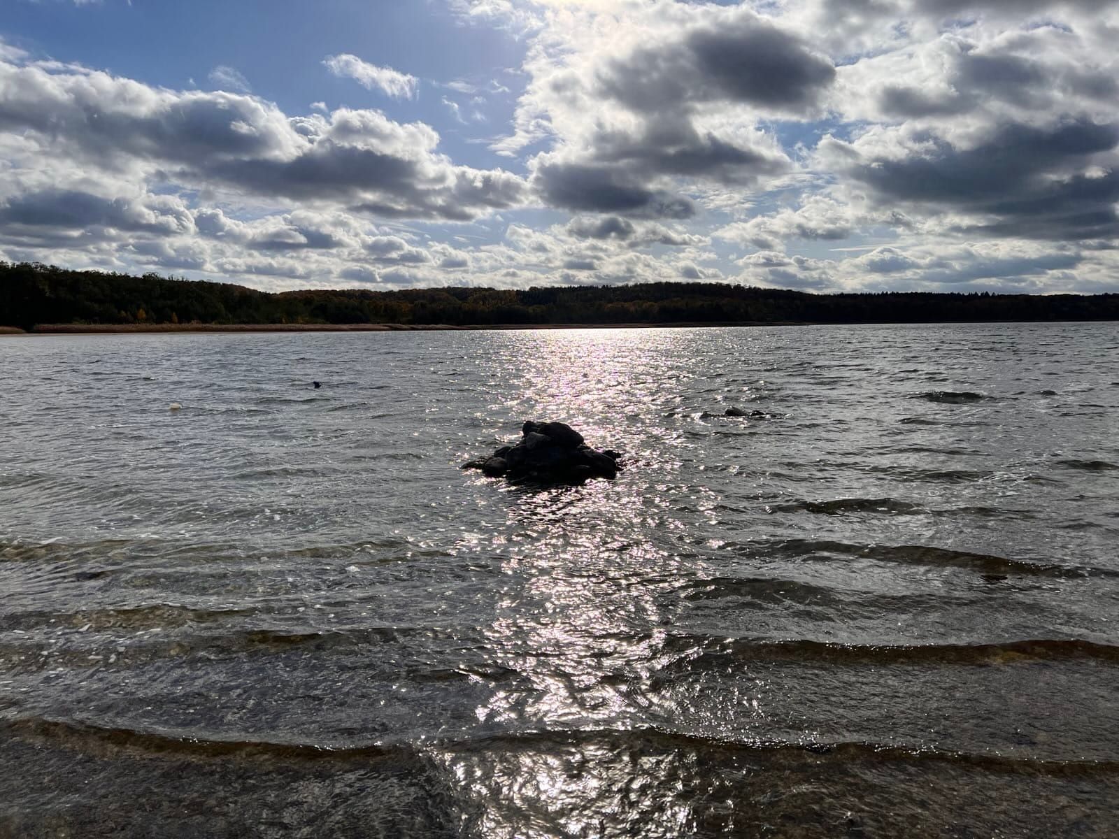 Neujahrsgrüße und Termine 2026