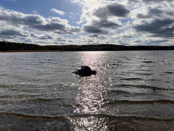 Neujahrsgrüße und Termine 2026