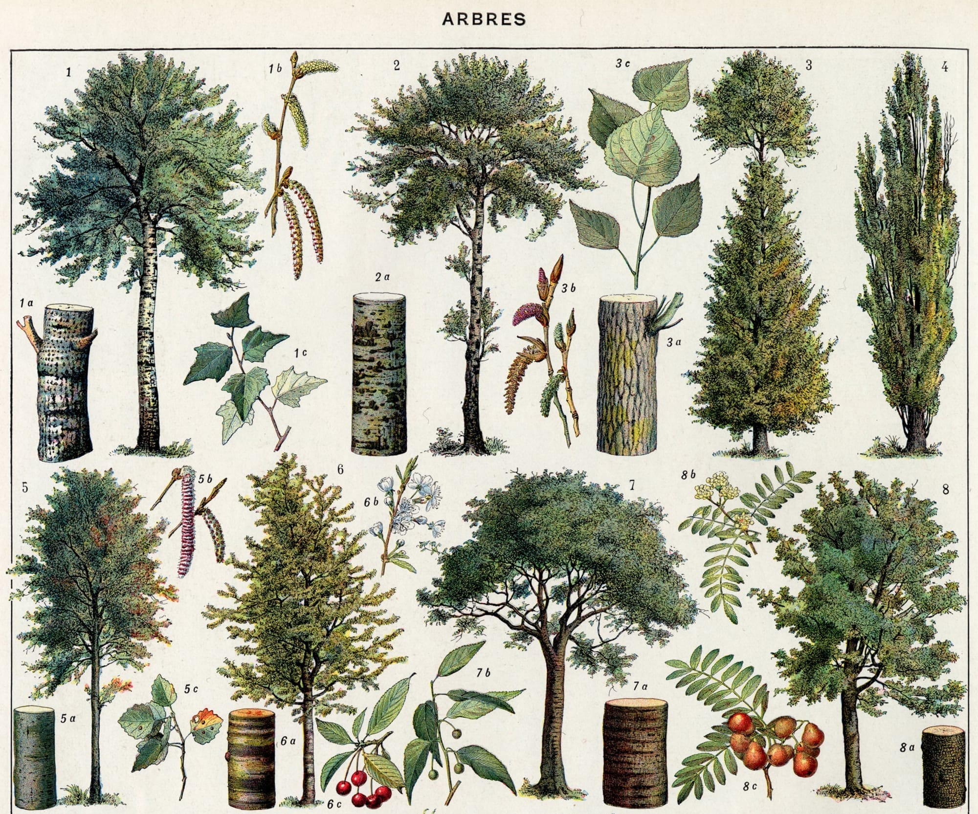 The Dividends of Difference: Recognizing Digital Humanities' Diverse Family Tree/s
