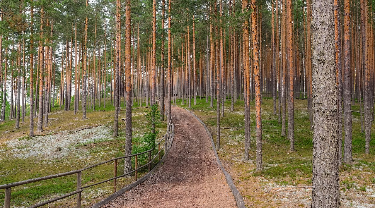 The Forest and the Tree: What the Latest Accommodation Debate Gets Wrong