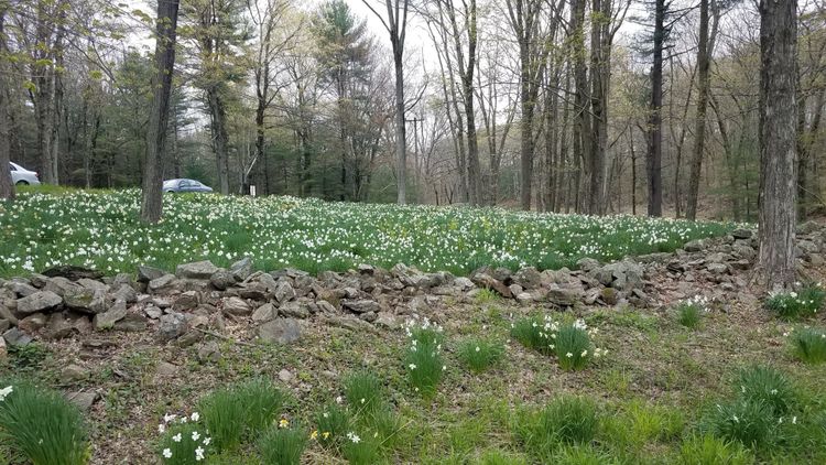 Digital Humanities Outreach and Media Fragmentation