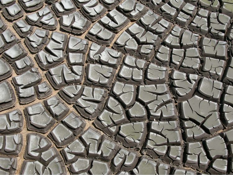 Collaboration and Emergent Knowledge at Greenhouse Studios