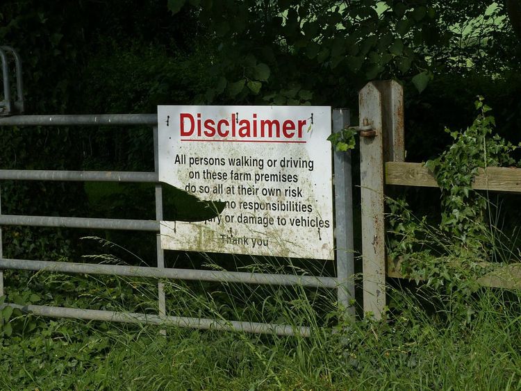 A Standard Disclaimer for AI-Curious Academics