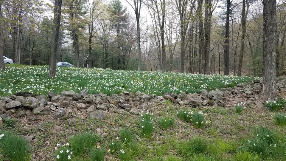 Digital Humanities Outreach and Media Fragmentation