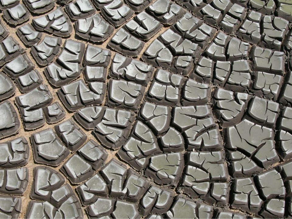 Collaboration and Emergent Knowledge at Greenhouse Studios