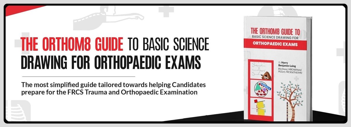 Orthom8 Guide to Basic Science Drawing for Orthopaedic Exams