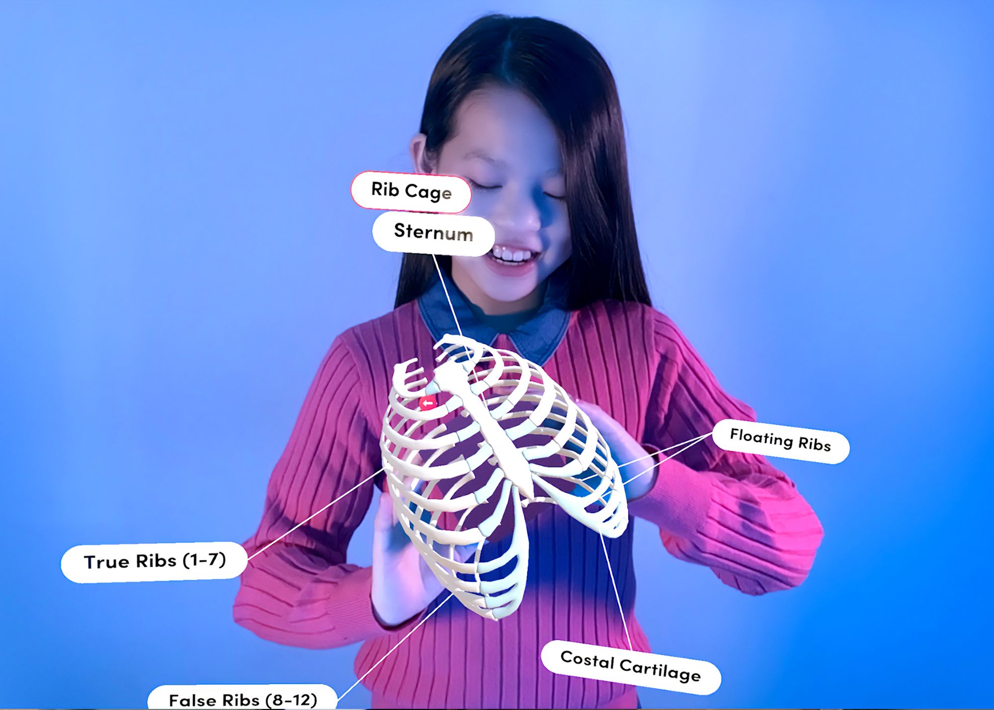 Bringing Anatomy to Life with the Merge Cube