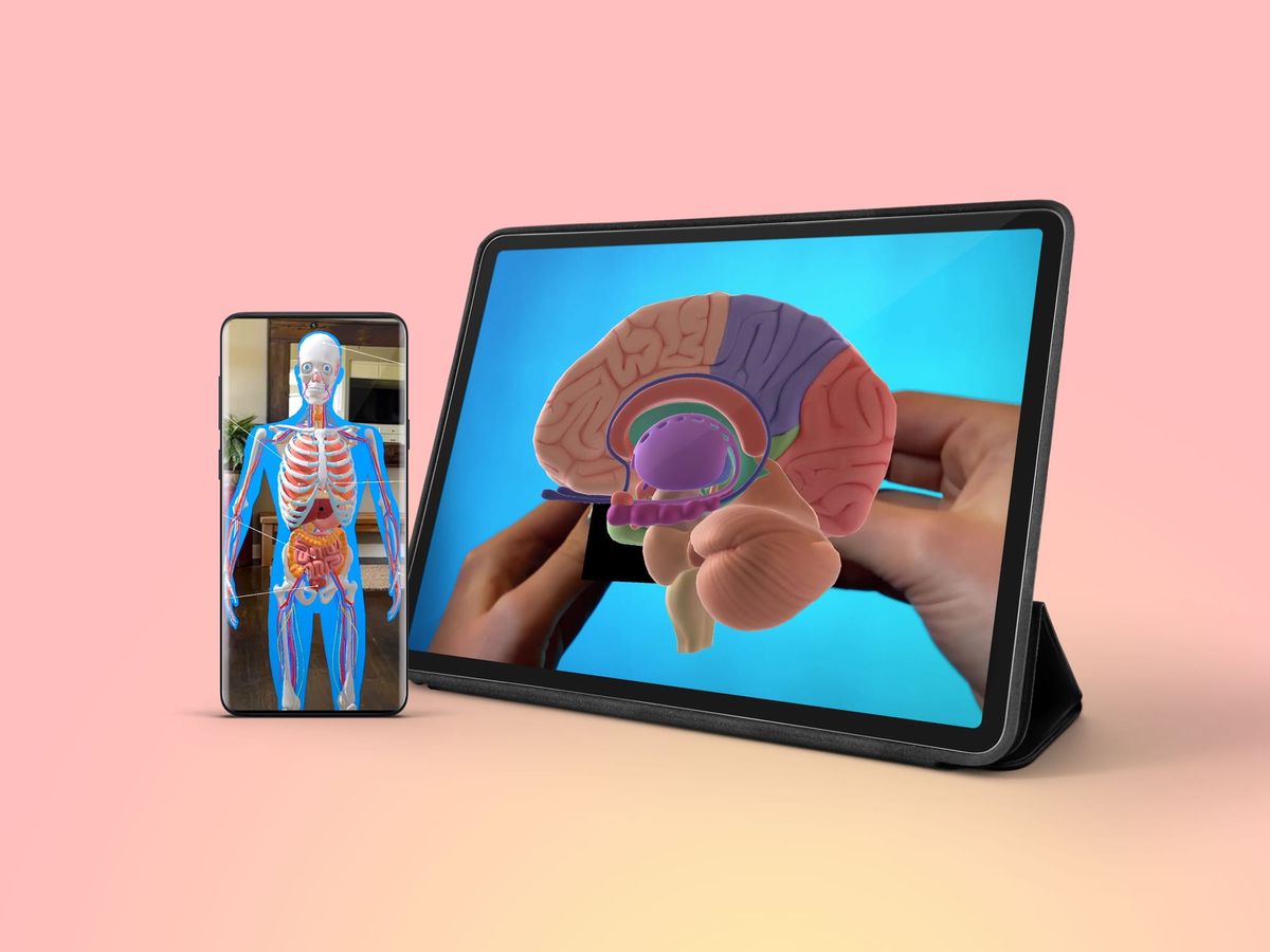 Bringing Anatomy to Life with Merge EDU