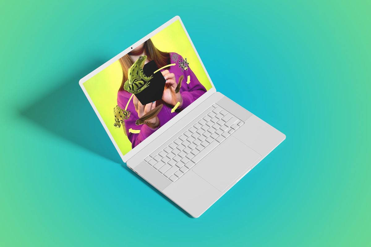 🐸 Frog Day Fun: Leaping into Frog Science with AR