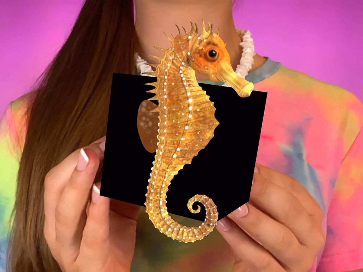 Celebrating World Oceans Day with Merge EDU