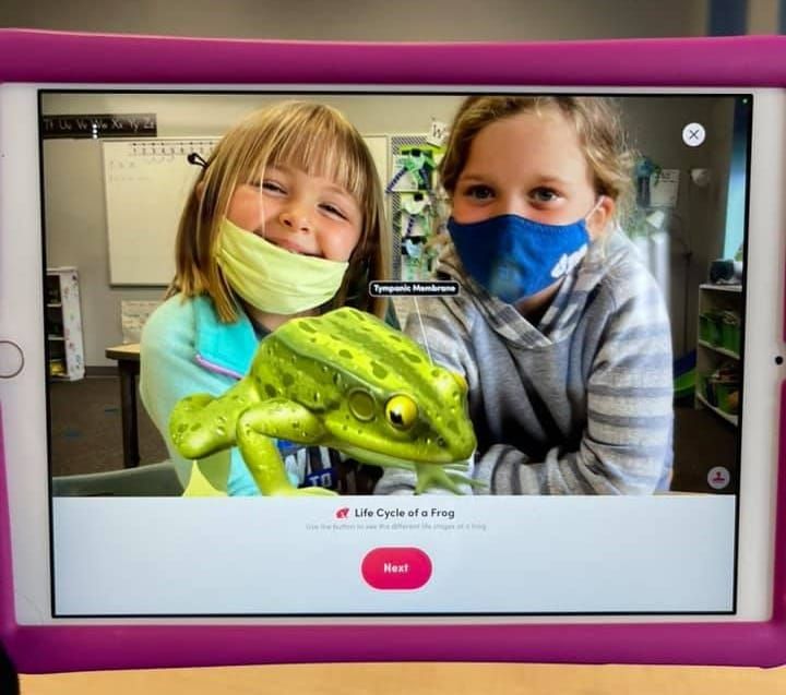 World Frog Day: Leap into Frog Science with Augmented Reality