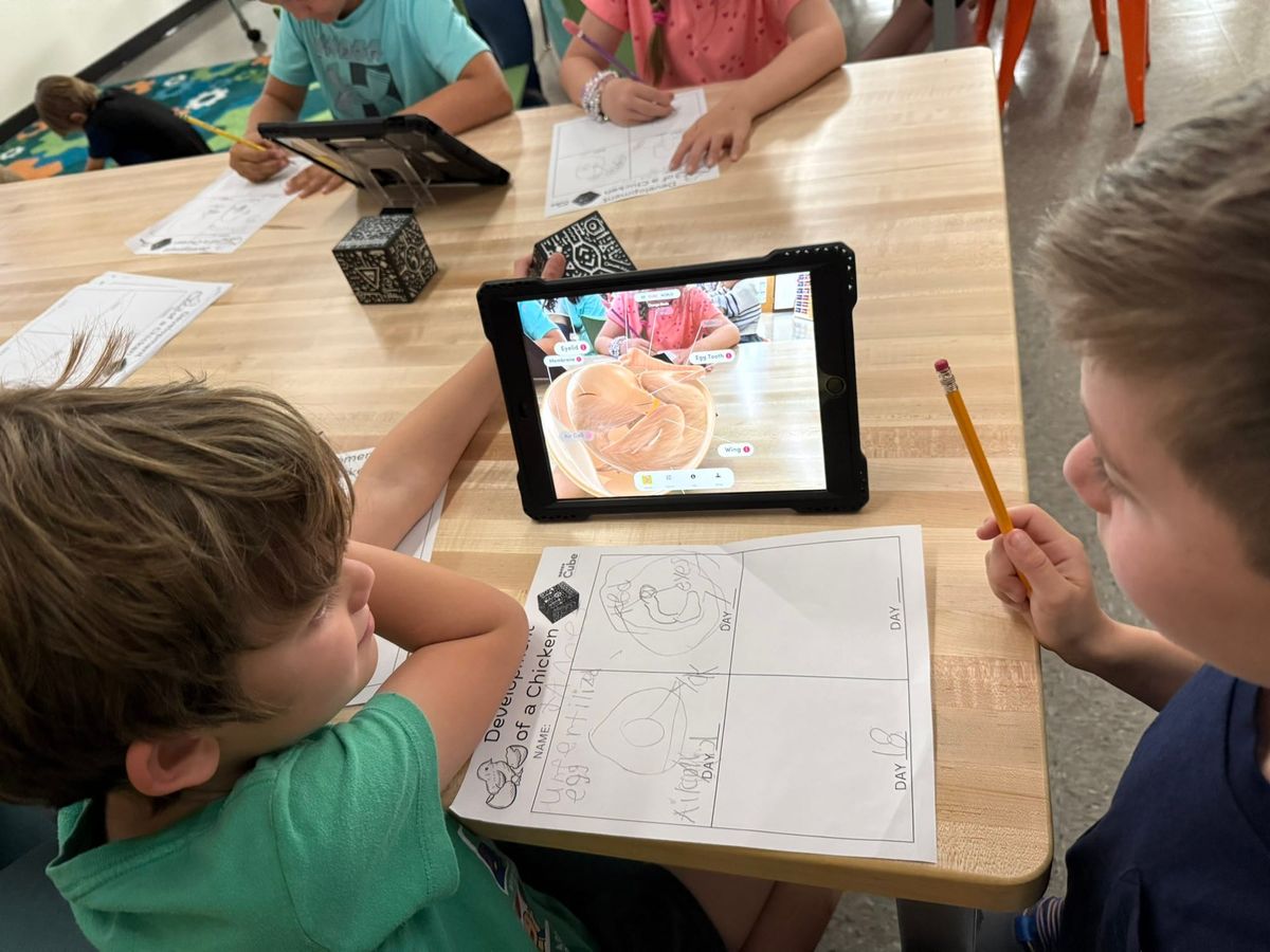 Spring Chickens! Exploring the Development of a Chicken with Augmented Reality