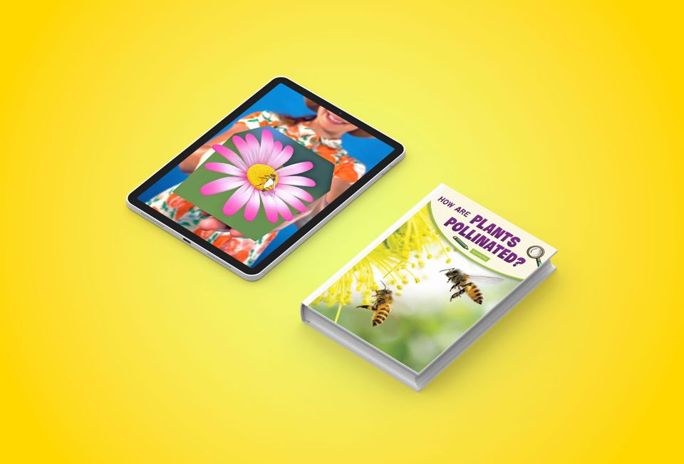 Buzzing into World Bee Day with Capstone and Merge EDU