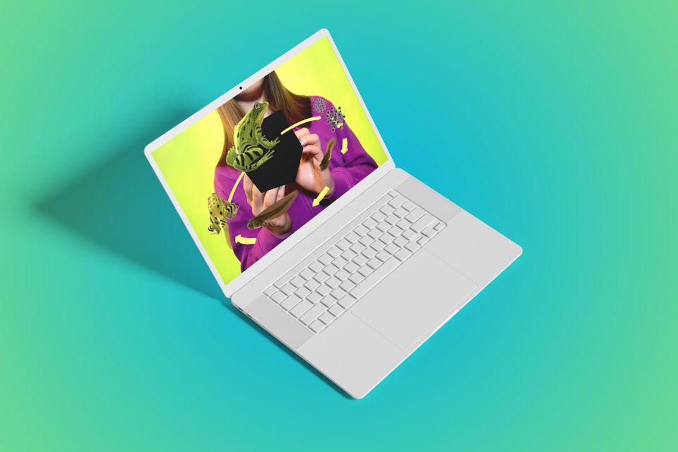 🐸 Frog Day Fun: Leaping into Frog Science with AR