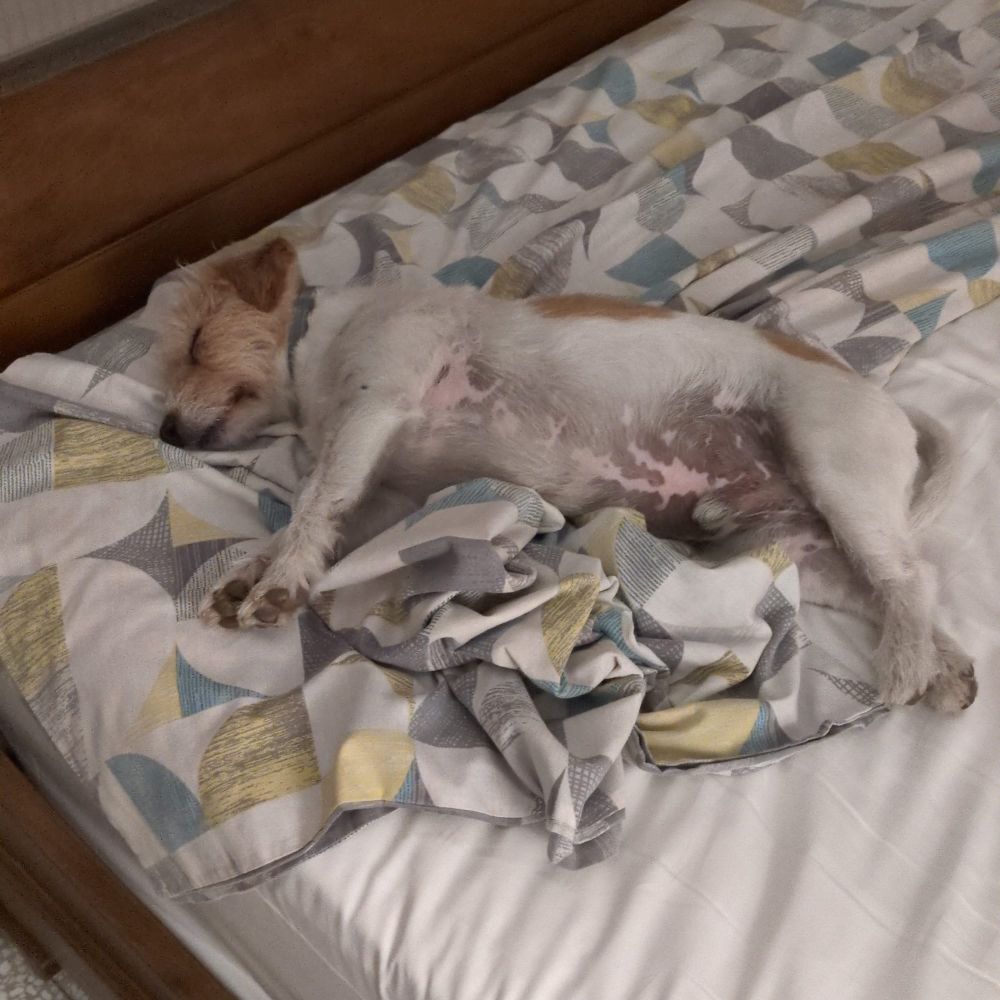 The Digest 10/08/2025