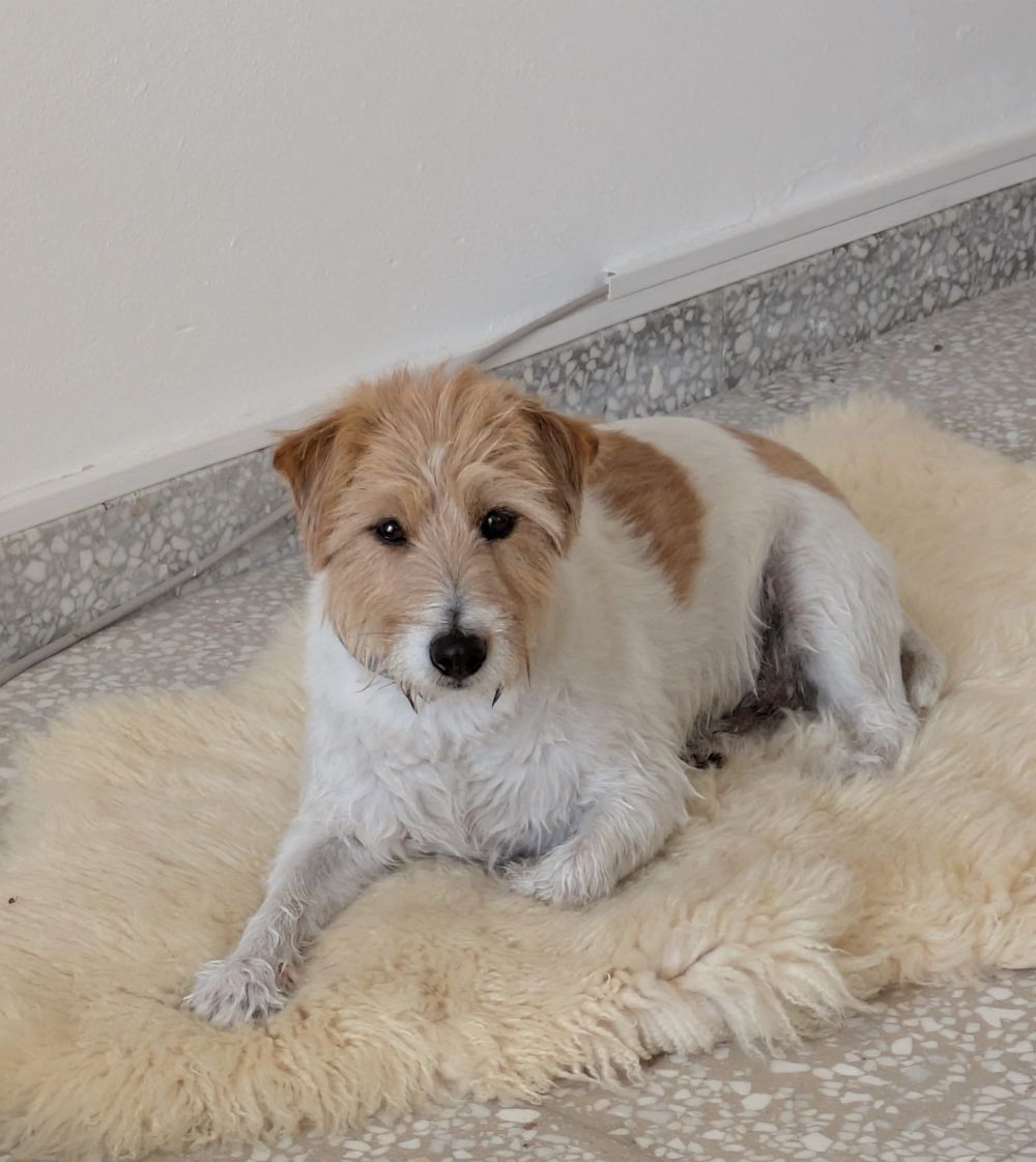 The Digest 31/08/2025