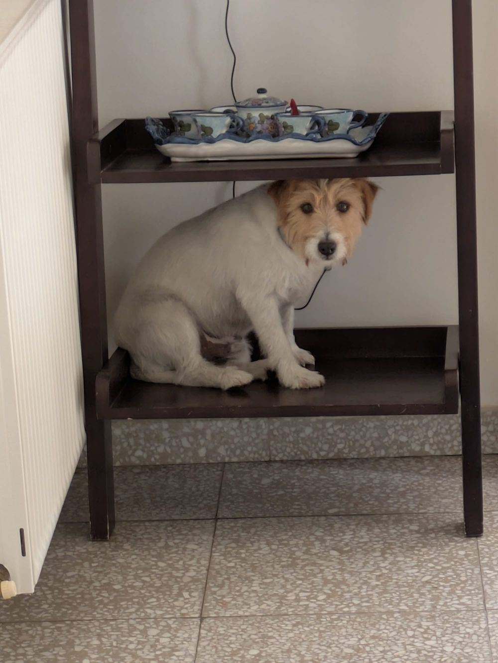 At Christmas Time...