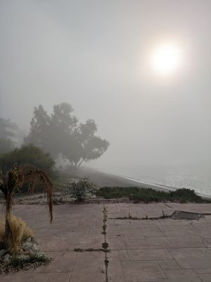 The Digest (s) 08/06 and 15/06 -2025