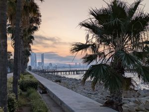 The Digest 29/06/25