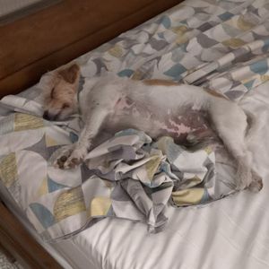 The Digest 10/08/2025