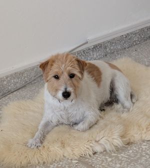 The Digest 31/08/2025