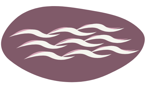 (with)ripple
