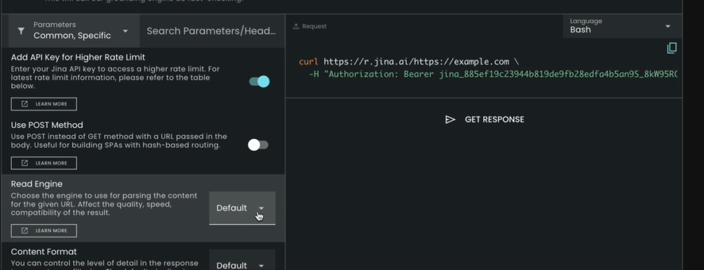 Interactive interface of Jina AI search engine with options for setting parameters, toggling API key access, and executing se